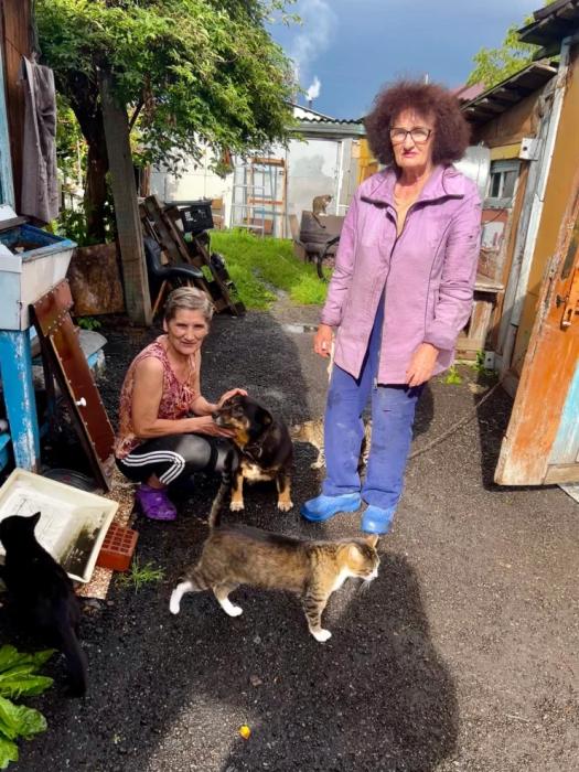 “Мы никому не нужны, кроме них“. Казахстанка “отдала“ свой дом кошкам “Мы никому не нужны, кроме них“. Казахстанка “отдала“ свой дом кошкам