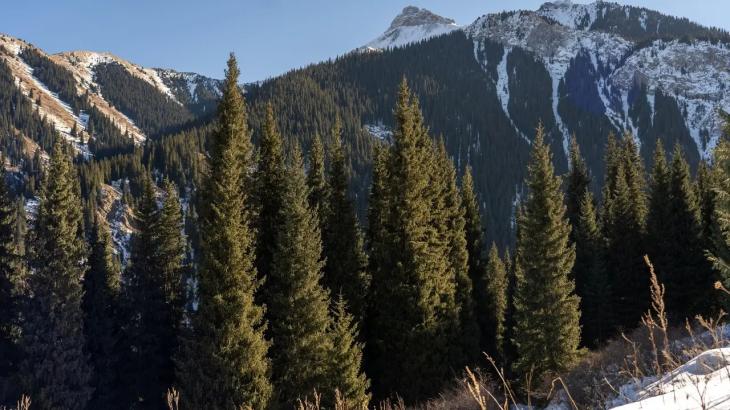 20-летний парень пропал в горах Алматы, его ищут вторые сутки
20-летний парень пропал в горах Алматы, его ищут вторые сутки