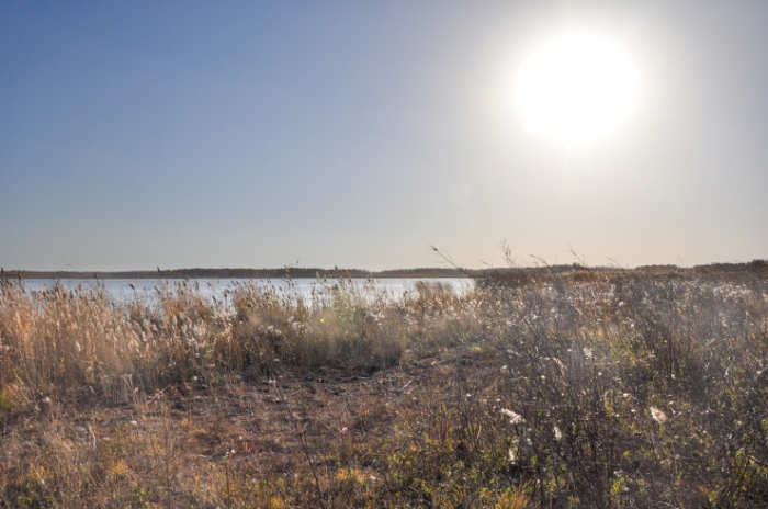 Последняя из Студеного. Казахстанка почти 20 лет одна живет в селе-призраке