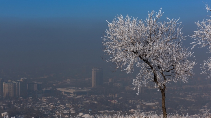 "К сожалению, слово не дам". Досаев не гарантирует улучшения качества воздуха в Алматы
"К сожалению, слово не дам". Досаев не гарантирует улучшения качества воздуха в Алматы