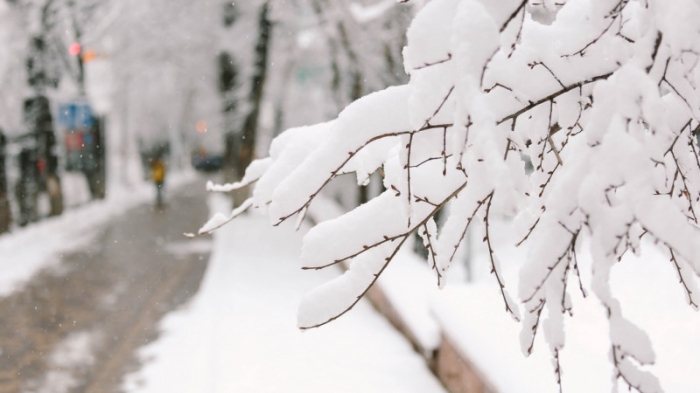 Сильный снег, ветер и гололед: погода в Казахстане на сегодня