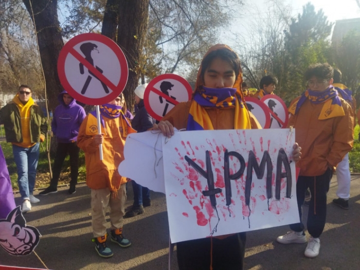 "Хватит закрывать глаза на насилие": митинг прошел в Алматы