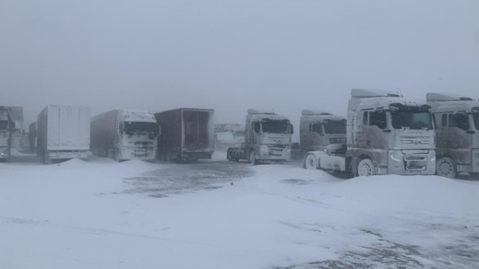 "Оставаться на местах": полицейские записали видеообращение к казахстанцам