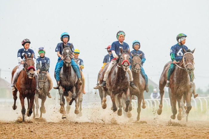 
Первых участников Всемирных игр кочевников по байге определили в Павлодаре
