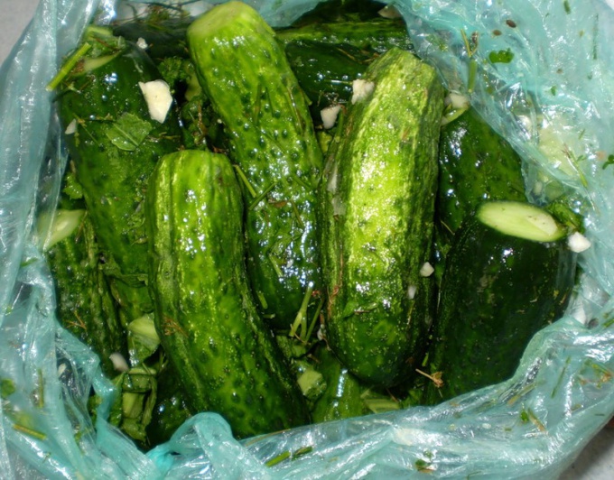 Малосольные огурцы без рассола