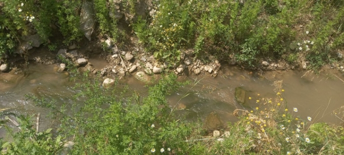 КамАЗы приезжают по ночам, без номеров. Жители микрорайона рядом с Кок-Тобе почти год борются с беспределом