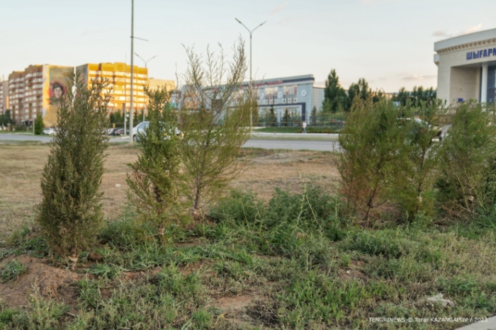"Потратили большие деньги, но до сих пор город воняет". Чем пахнет в Актобе? "Потратили большие деньги, но до сих пор город воняет". Чем пахнет в Актобе?