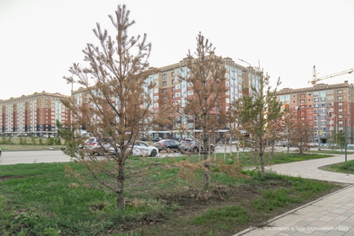 "Потратили большие деньги, но до сих пор город воняет". Чем пахнет в Актобе? "Потратили большие деньги, но до сих пор город воняет". Чем пахнет в Актобе?