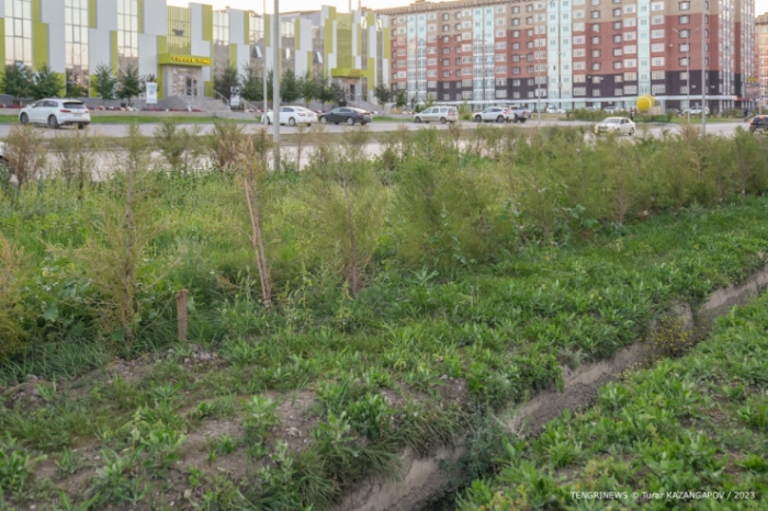 "Потратили большие деньги, но до сих пор город воняет". Чем пахнет в Актобе? "Потратили большие деньги, но до сих пор город воняет". Чем пахнет в Актобе?