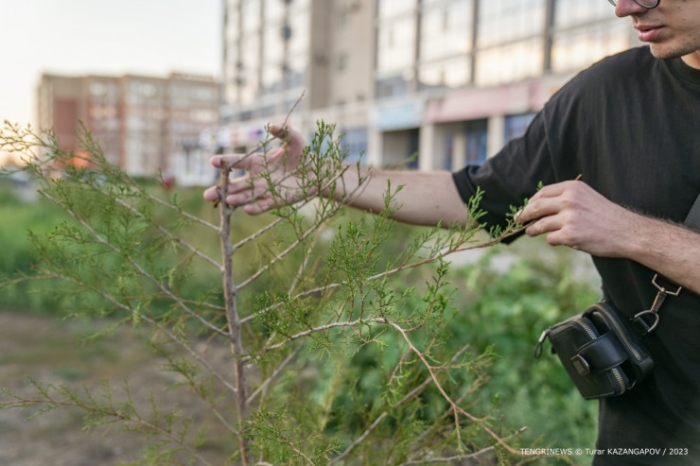 "Потратили большие деньги, но до сих пор город воняет". Чем пахнет в Актобе? "Потратили большие деньги, но до сих пор город воняет". Чем пахнет в Актобе?