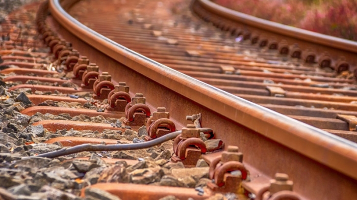 Смерть студента в Щучинске: полиция завела 2 дела после поручения Токаева