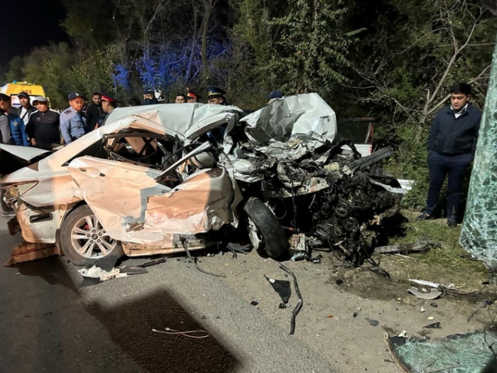 Пять человек погибли в ДТП с автобусом в Алматинской области Пять человек погибли в ДТП с автобусом в Алматинской области