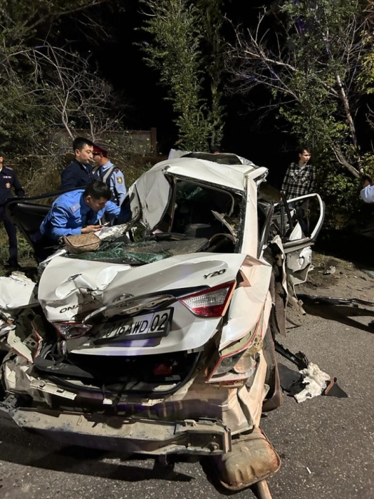 Пять человек погибли в ДТП с автобусом в Алматинской области Пять человек погибли в ДТП с автобусом в Алматинской области