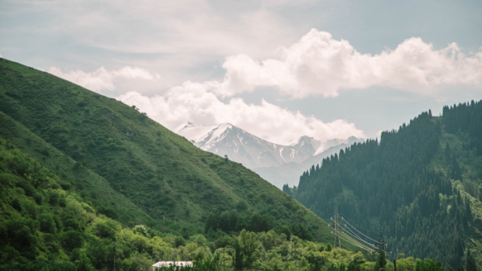 Избиение лесника в Иле-Алатауском нацпарке: в полиции прокомментировали расследование Избиение лесника в Иле-Алатауском нацпарке: в полиции прокомментировали расследование