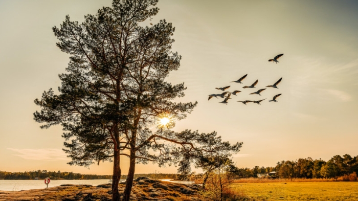 Морозы до 6 градусов и туманы: погода в Казахстане на 17 октября