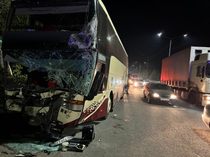 Пять человек погибли в ДТП с автобусом в Алматинской области Пять человек погибли в ДТП с автобусом в Алматинской области