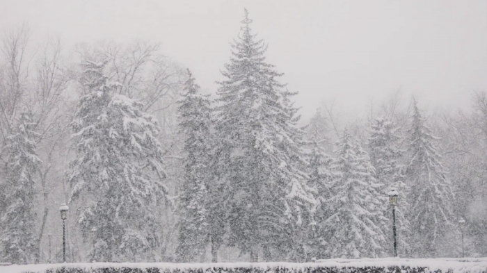 Какой будет погода в понедельник 25 декабря в Казахстане