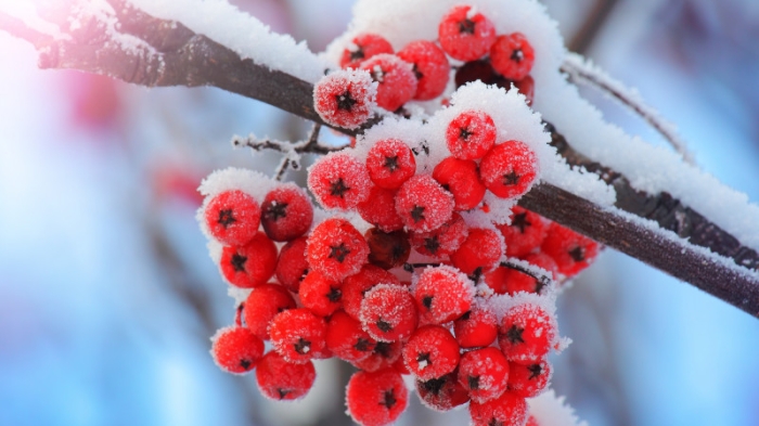 Туман, гололед, ветер: погода в Казахстане на 5 декабря Туман, гололед, ветер: погода в Казахстане на 5 декабря