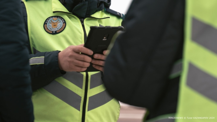 Пешеходы, водители или полиция? Кто виноват в беспорядке на дорогах и что с этим делать Пешеходы, водители или полиция? Кто виноват в беспорядке на дорогах и что с этим делать