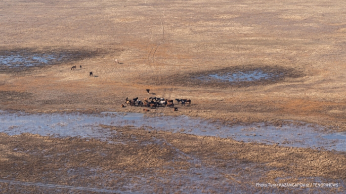 Дефицит воды. Придется ли казахстанцам серьезно экономить