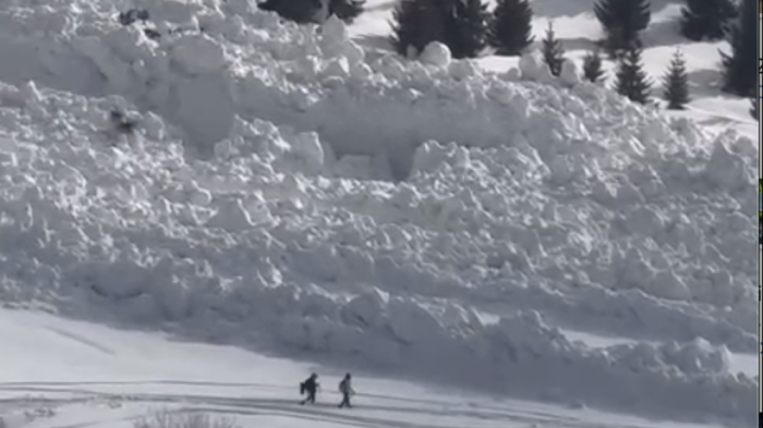 Гигантская лавина сошла на Кок-Жайляу: в Сети появилось видео