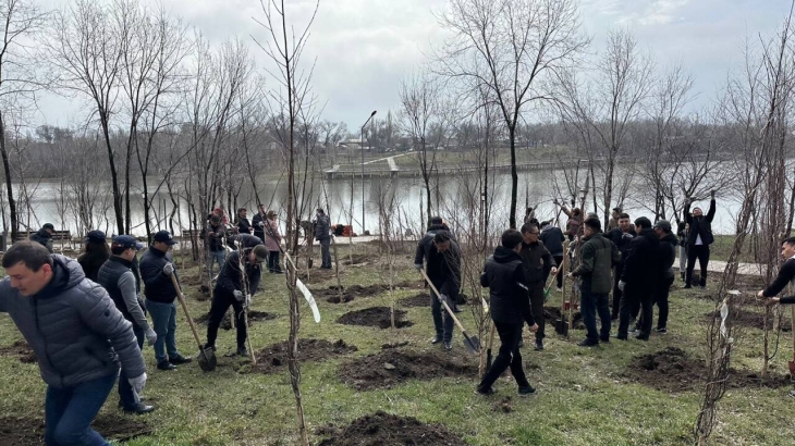 День очищения: как прошли экологические акции в Алматы и Астане
День очищения: как прошли экологические акции в Алматы и Астане