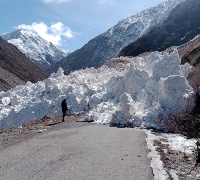 Гигантская лавина сошла на Кок-Жайляу: в Сети появилось видео