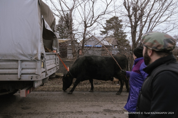 "А ведь была проделана такая работа". В пригороде Петропавловска дома ушли под воду "А ведь была проделана такая работа". В пригороде Петропавловска дома ушли под воду