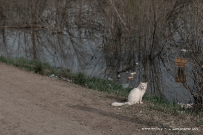 Влез в долги, готовились к новоселью. Пригород Уральска ушел под воду