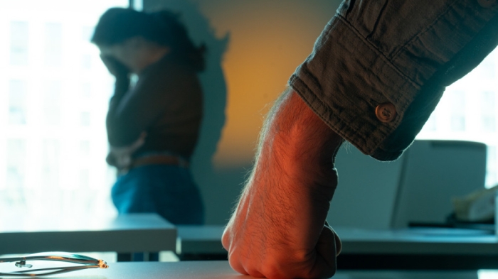 Результат многолетней работы: Карин о законе против бытового насилия