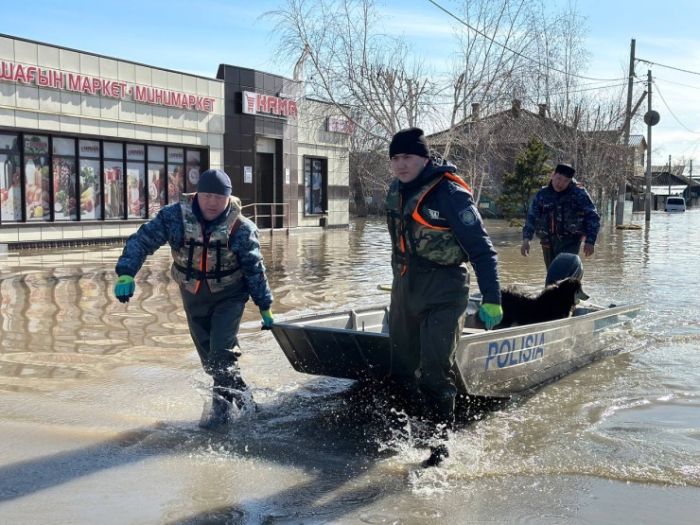 Храм в воде, собаки ждут хозяев. Что происходит в Петропавловске