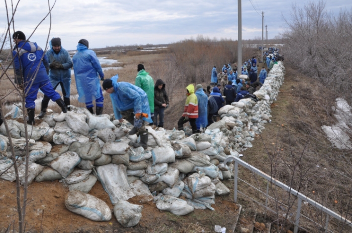 Храм в воде, собаки ждут хозяев. Что происходит в Петропавловске