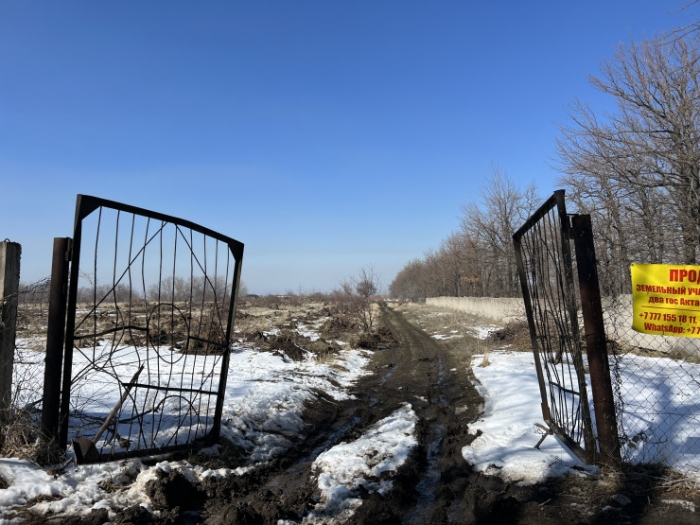 Единственный в Казахстане: часть яблоневого сада вырубили под Талгаром Единственный в Казахстане: часть яблоневого сада вырубили под Талгаром