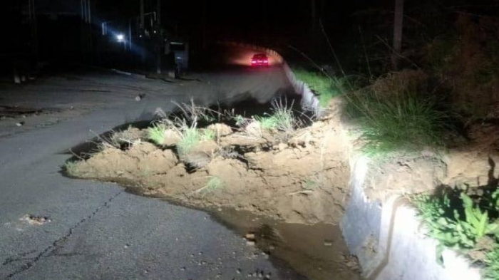 Опылвина сошла в Алматы