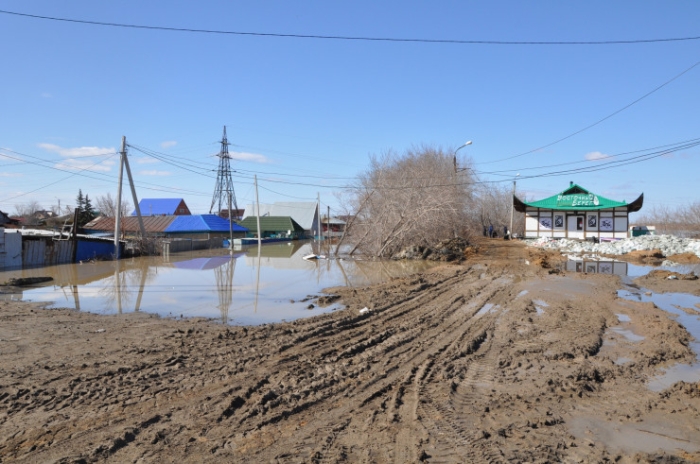 Храм в воде, собаки ждут хозяев. Что происходит в Петропавловске