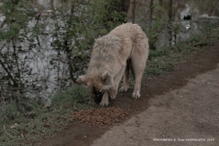 Влез в долги, готовились к новоселью. Пригород Уральска ушел под воду