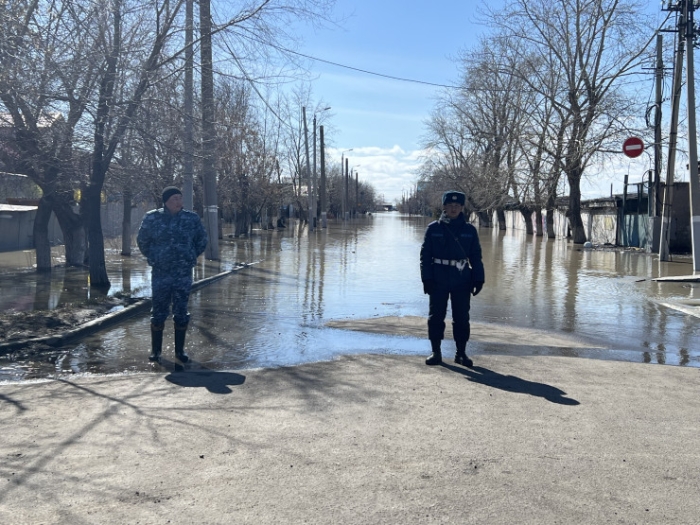 Храм в воде, собаки ждут хозяев. Что происходит в Петропавловске