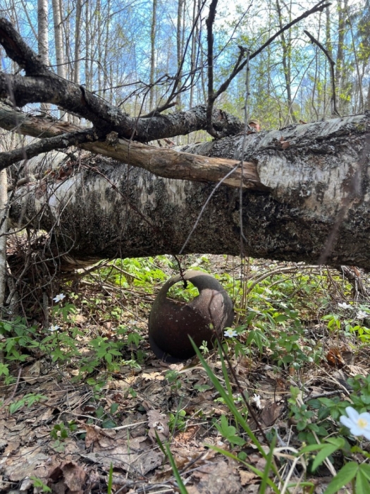 "Это нужно живым". Казахстанец каждую весну отправляется на поиск погибших солдат "Это нужно живым". Казахстанец каждую весну отправляется на поиск погибших солдат