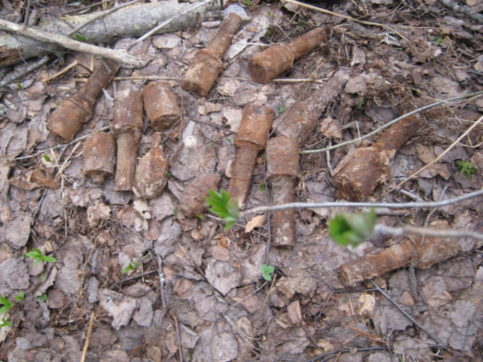 "Это нужно живым". Казахстанец каждую весну отправляется на поиск погибших солдат "Это нужно живым". Казахстанец каждую весну отправляется на поиск погибших солдат