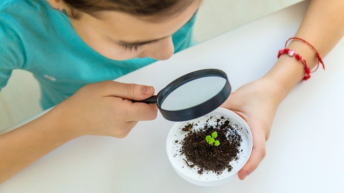 Новый предмет предложили ввести в школах Казахстана