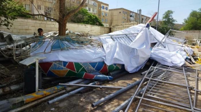 Бросили на задворках: что случилось с гигантским осетром за 10 миллионов в Актау