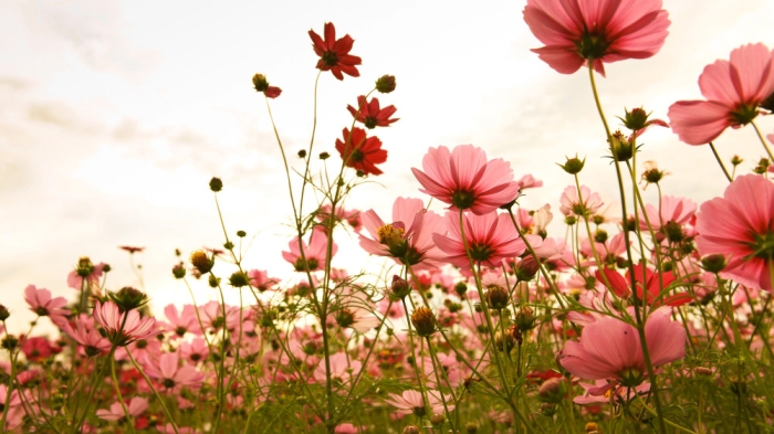 Заморозки до 3 градусов в грозы: погода в Казахстане на сегодня, 24 мая Заморозки до 3 градусов в грозы: погода в Казахстане на сегодня, 24 мая