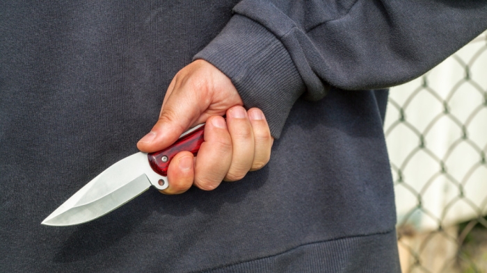 "Освободившийся" подросток в первый же день совершил преступление в СКО: ему грозит до 8 лет "Освободившийся" подросток в первый же день совершил преступление в СКО: ему грозит до 8 лет