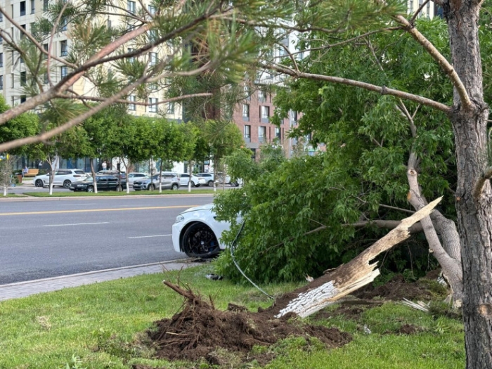 Молодой водитель BMW потерял контроль над авто в центре Астаны: фото Молодой водитель BMW потерял контроль над авто в центре Астаны: фото