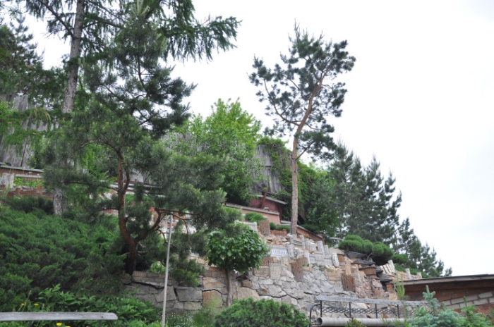 Превратил свалку в сказочный город. Вдохновляющая история из Петропавловска