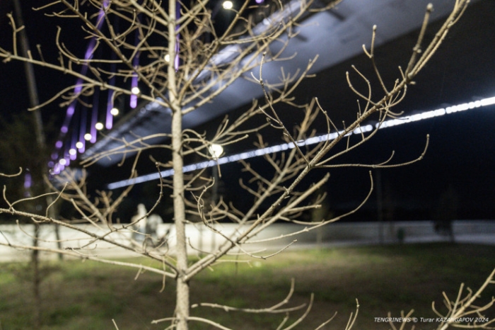 "Это Семей, детка". Что происходит под уникальным для СНГ мостом