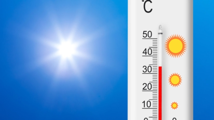 Главные новости за 29 июля: афганская газировка, кадровые перестановки и розыск экс-полицейского Главные новости за 29 июля: афганская газировка, кадровые перестановки и розыск экс-полицейского