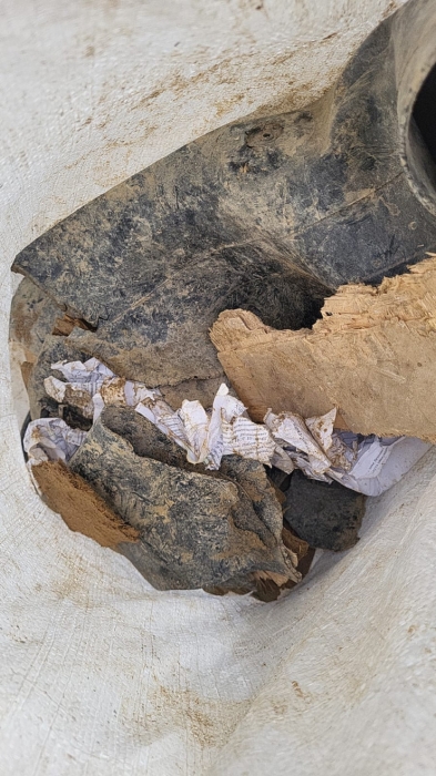 Автобус с людьми ушел под землю: появились подробности поисков пропавших Автобус с людьми ушел под землю: появились подробности поисков пропавших