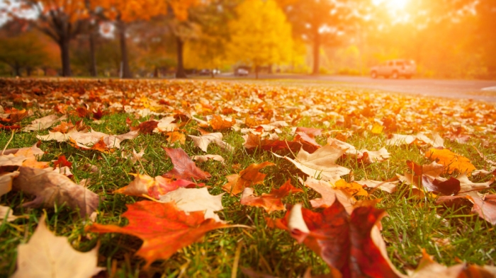 Сколько дней казахстанцы отдохнут в сентябре: календарь 2024 Сколько дней казахстанцы отдохнут в сентябре: календарь 2024