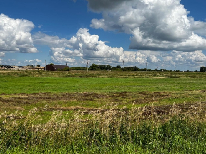 “На ужин были пельмени“. История казахстанки, потерявшей детей после отравления